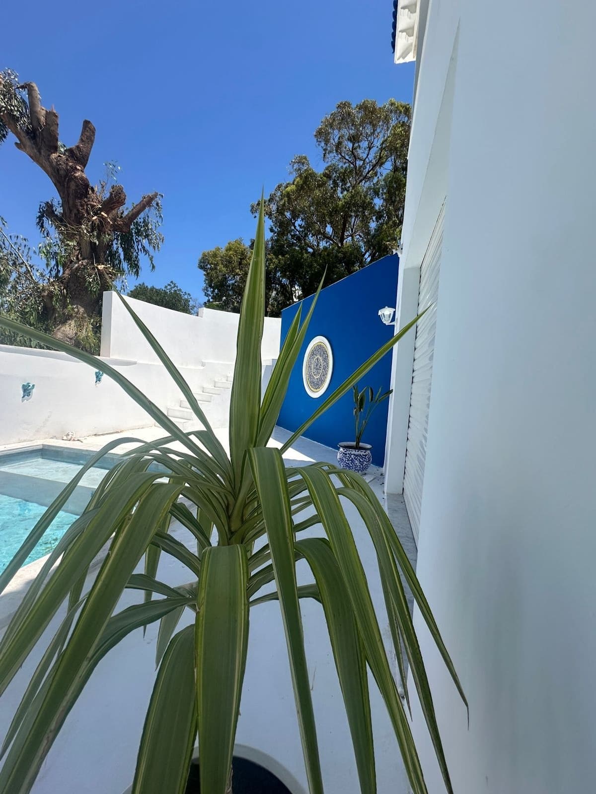 Luxueuse villa de 4 chambres avec piscine privée à - image 12