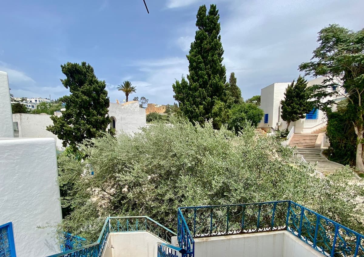 Le Havre Bleu – séjour idyllique à Sidi Bou Said - image 25